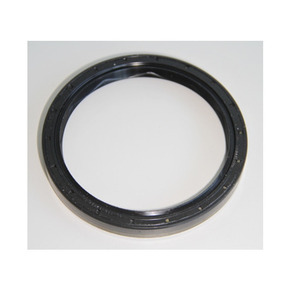 Nunc congue dui nec...