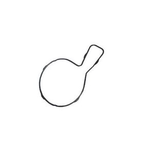 Nunc congue dui nec...