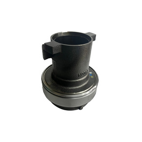 Nunc congue dui nec...