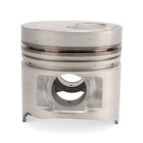 Nunc congue dui nec...