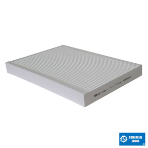 Nunc congue dui nec...