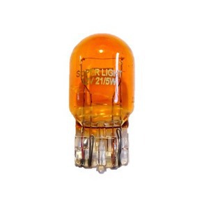 Nunc congue dui nec...