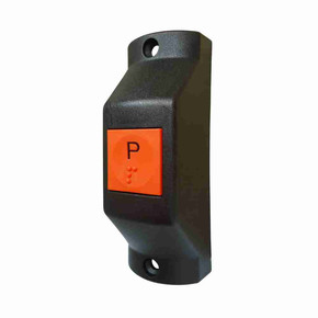 Nunc congue dui nec...