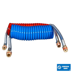 Nunc congue dui nec...