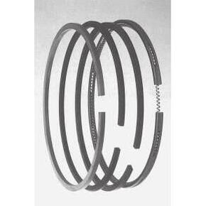 Nunc congue dui nec...