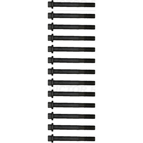 Nunc congue dui nec...