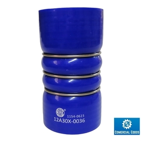 Nunc congue dui nec...