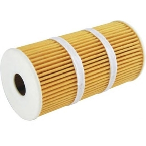 Nunc congue dui nec...