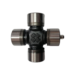 Nunc congue dui nec...