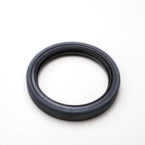 Nunc congue dui nec...