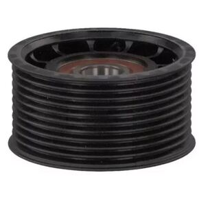 Nunc congue dui nec...