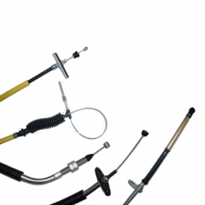 Nunc congue dui nec...