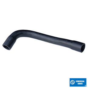 Nunc congue dui nec...