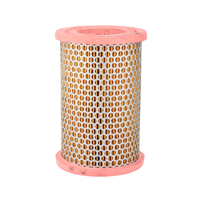 Nunc congue dui nec...