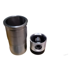 Nunc congue dui nec...