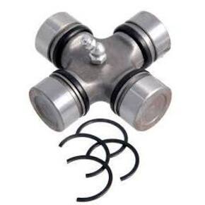 Nunc congue dui nec...